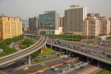 休闲生物收集冒险游戏《Robo Catcher》Steam页面 发售日待定